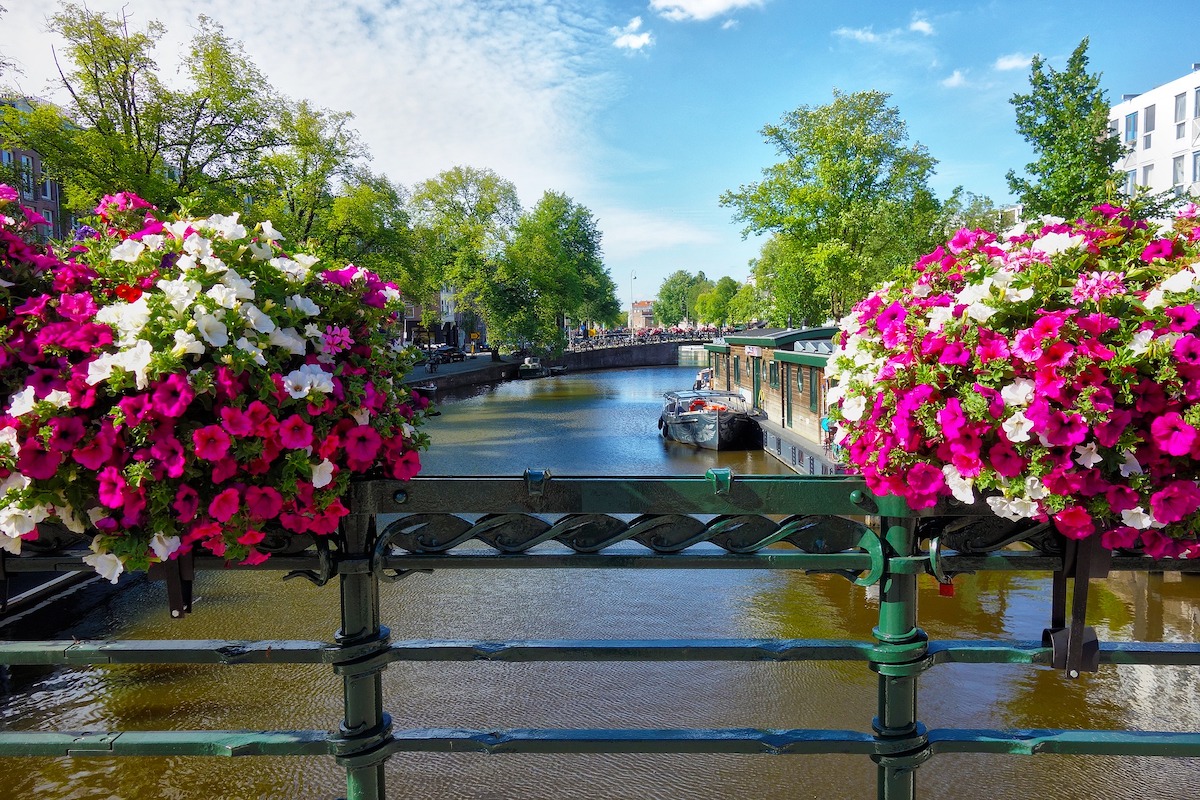 Amsterdam: City Travel Guide
